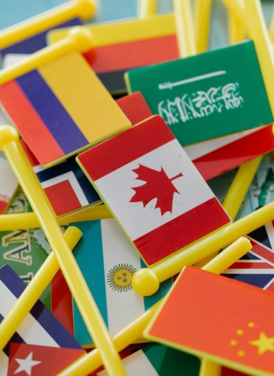 pexels-photo-8828346-8828346 Colorful mini flags of countries on a world map, symbolizing global connections.